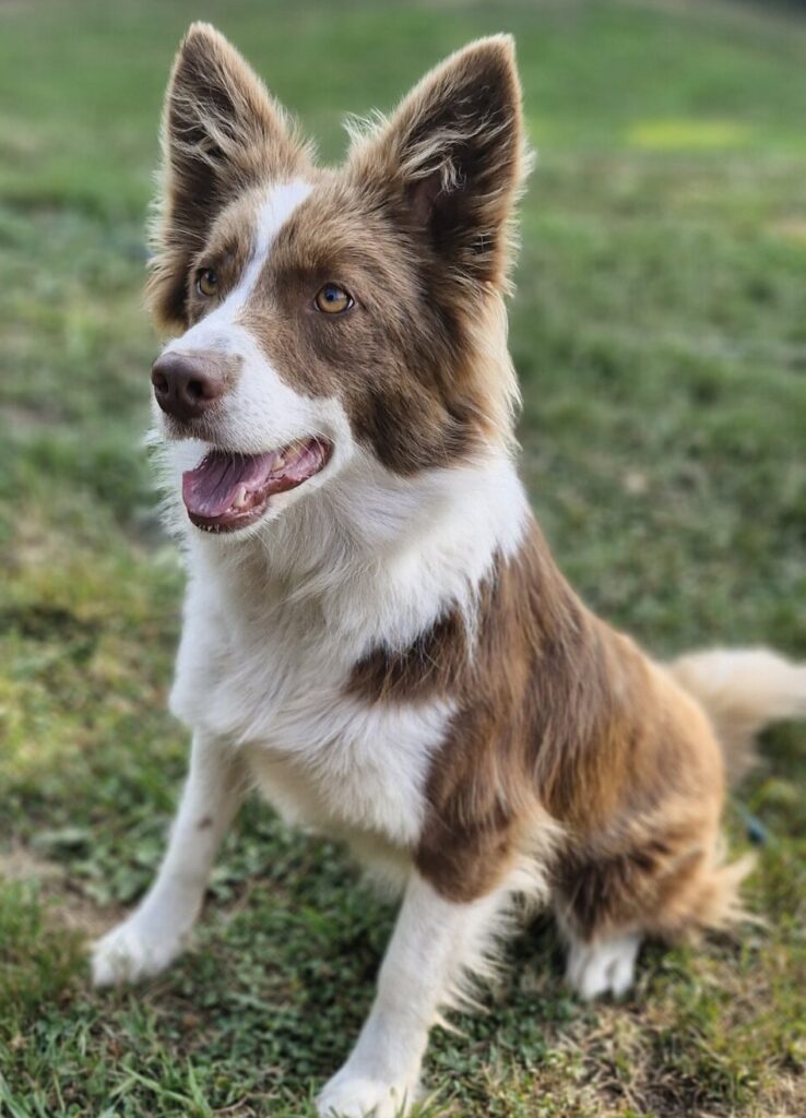 Básico 20250810 190441 Scaled E1761513970110 738x1024